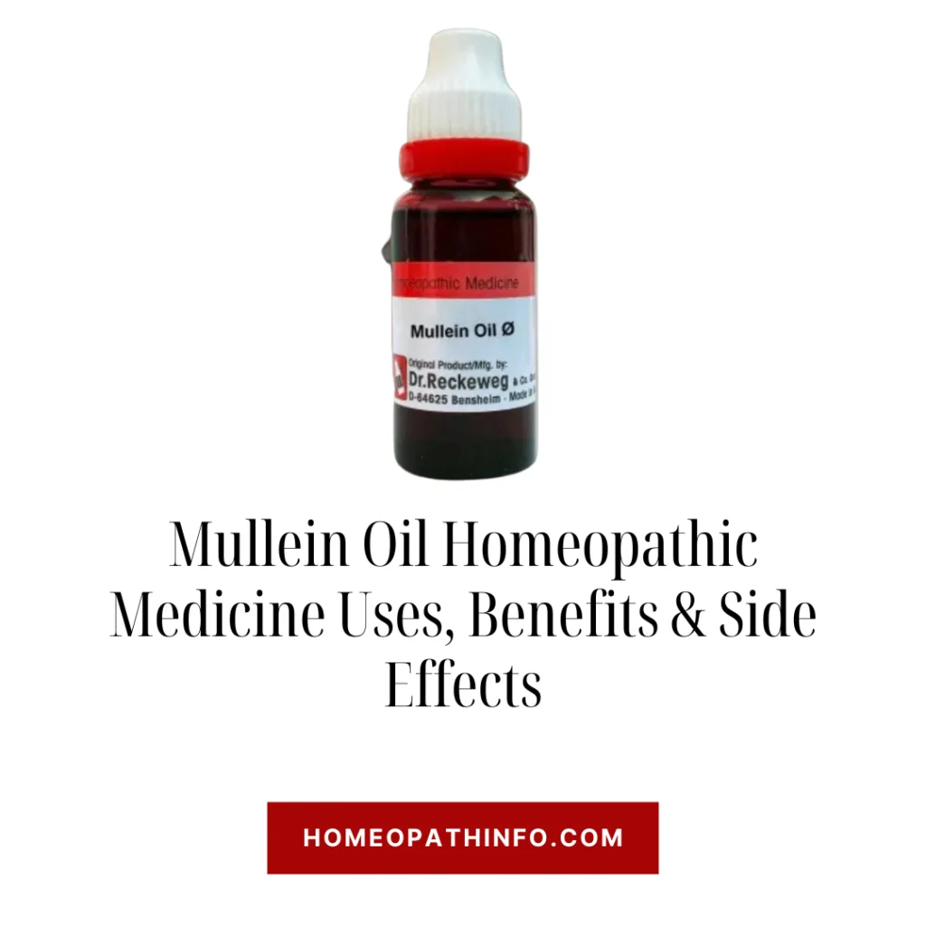 Mullein Oil Homeopathic Medicine Uses, Benefits & Side Effects - Homeopathinfo