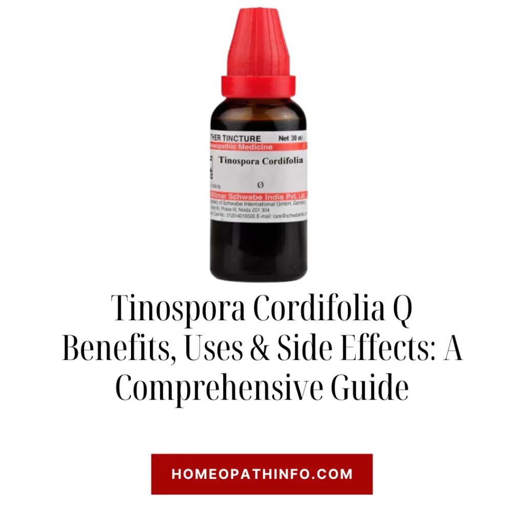 Tinospora Cordifolia Q Benefits, Uses & Side Effects: A Comprehensive Guide - Homeopathinfo