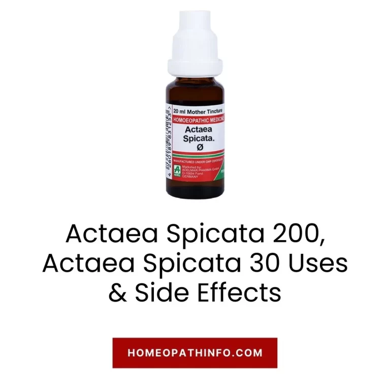 Actaea Spicata 200, Actaea Spicata 30 Uses & Side Effects: The Ultimate Guide to This Powerful Homeopathic Remedy 7 Actaea Spicata 200, Actaea Spicata 30 Uses & Side Effects The Ultimate Guide to This Powerful Homeopathic Remedy