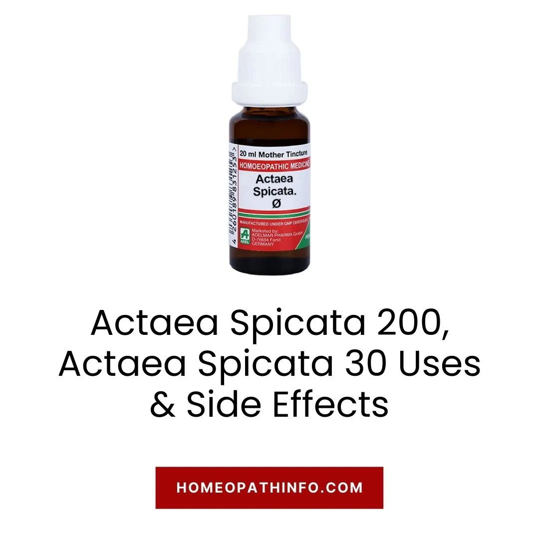 Actaea Spicata 200, Actaea Spicata 30 Uses & Side Effects: The Ultimate Guide to This Powerful Homeopathic Remedy 1 Actaea Spicata 200, Actaea Spicata 30 Uses & Side Effects The Ultimate Guide to This Powerful Homeopathic Remedy