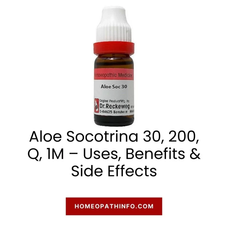 Aloe Socotrina 30, 200, Q, 1M – Uses, Benefits & Side Effects