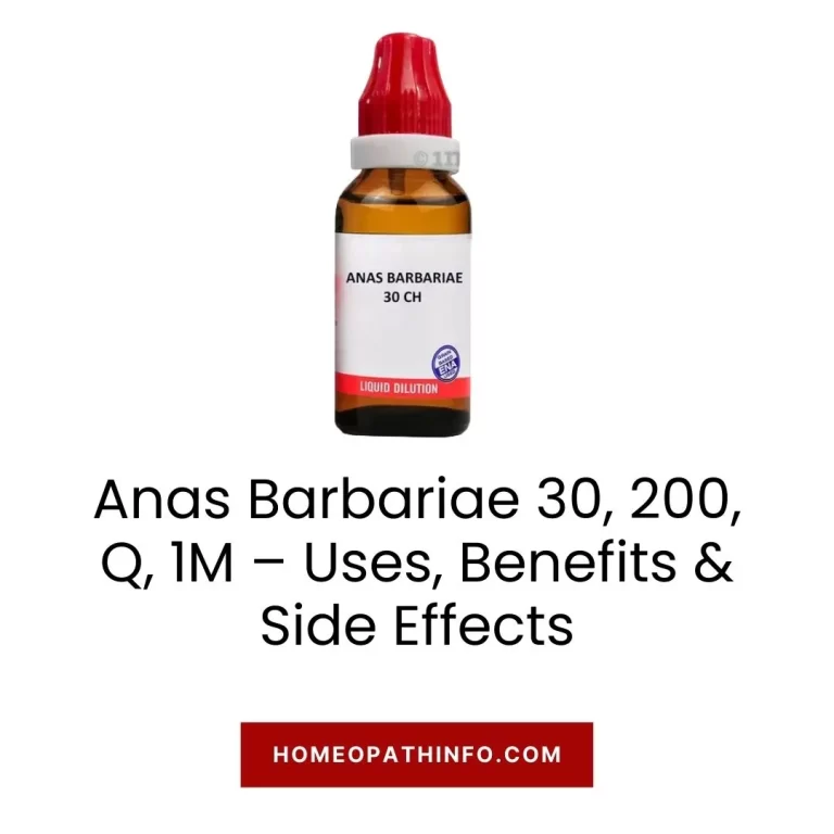 Anas Barbariae 30, 200, Q, 1M – Uses, Benefits & Side Effects 8 Anas Barbariae 30, 200, Q, 1M – Uses, Benefits & Side Effects