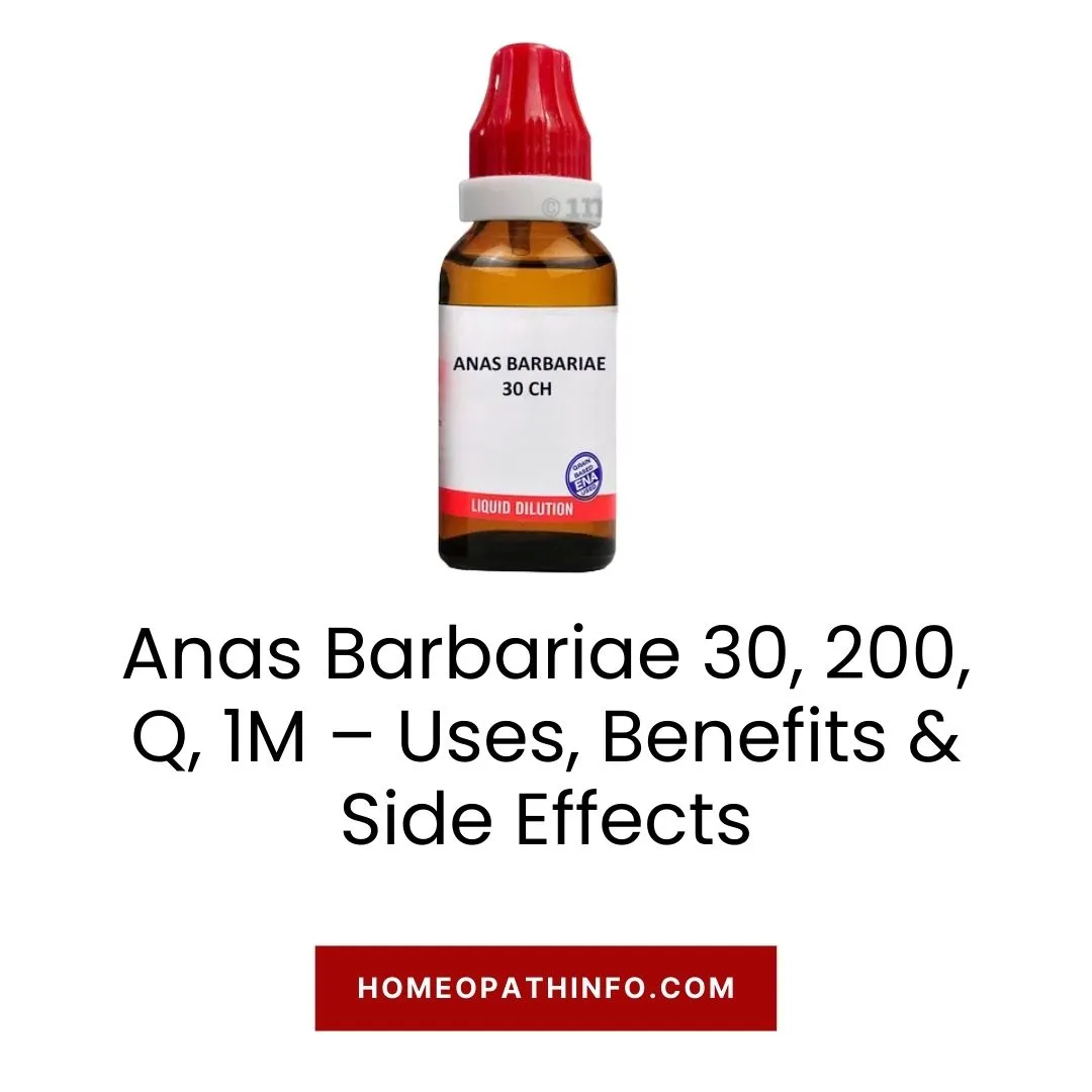 Anas Barbariae 30, 200, Q, 1M – Uses, Benefits & Side Effects 1 Anas Barbariae 30, 200, Q, 1M – Uses, Benefits & Side Effects