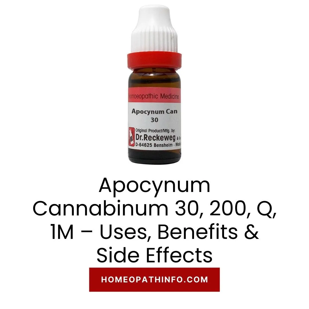 Apocynum Cannabinum 30, 200, Q, 1M – Uses, Benefits & Side Effects 2 Apocynum Cannabinum 30, 200, Q, 1M – Uses, Benefits & Side Effects