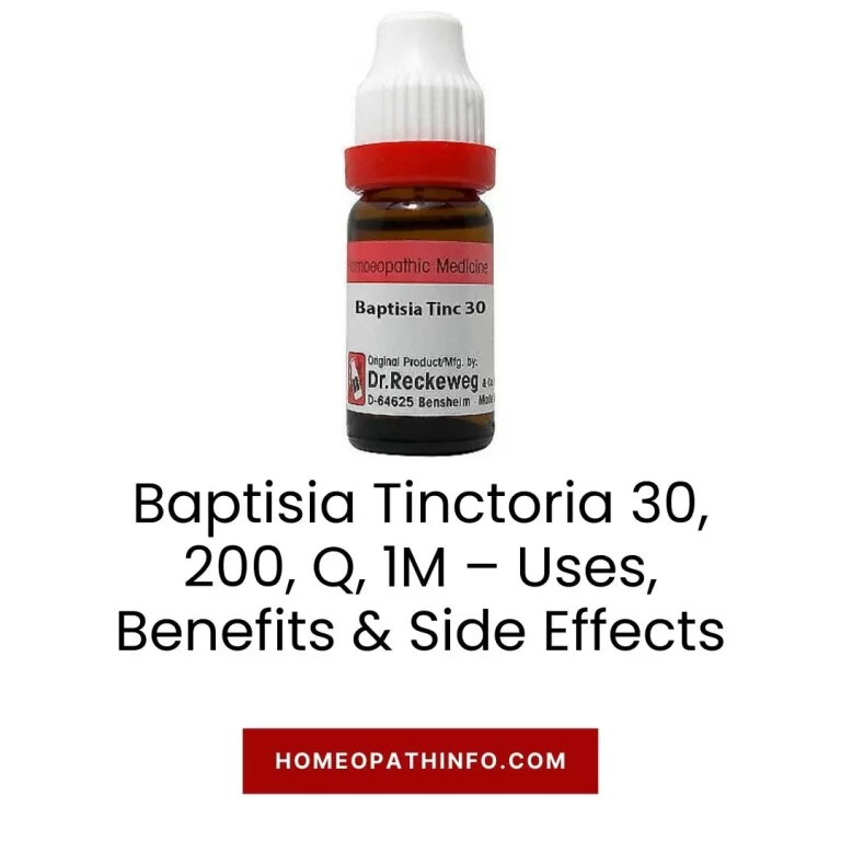 Baptisia Tinctoria 30, 200, Q, 1M – Uses, Benefits & Side Effects