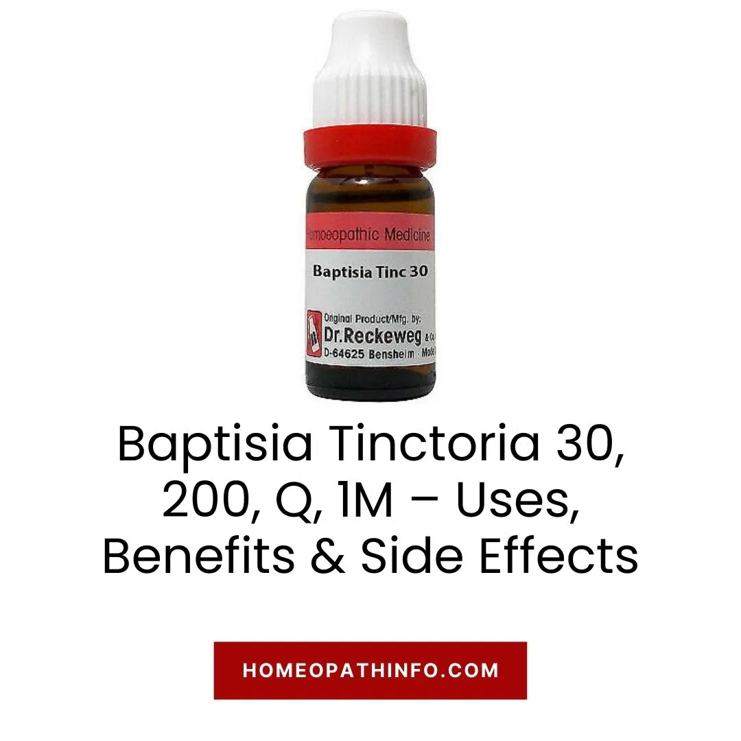 Baptisia Tinctoria 30, 200, Q, 1M – Uses, Benefits & Side Effects 1 Baptisia Tinctoria 30, 200, Q, 1M – Uses, Benefits & Side Effects