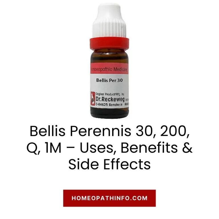 Bellis Perennis 30, 200, Q, 1M – Uses, Benefits & Side Effects