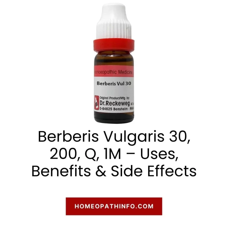 Berberis Vulgaris 30, 200, Q, 1M – Uses, Benefits & Side Effects