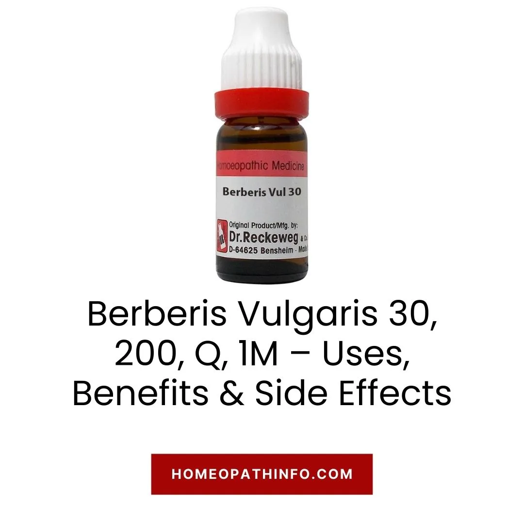 Berberis Vulgaris 30, 200, Q, 1M – Uses, Benefits & Side Effects 1 Berberis Vulgaris 30, 200, Q, 1M – Uses, Benefits & Side Effects