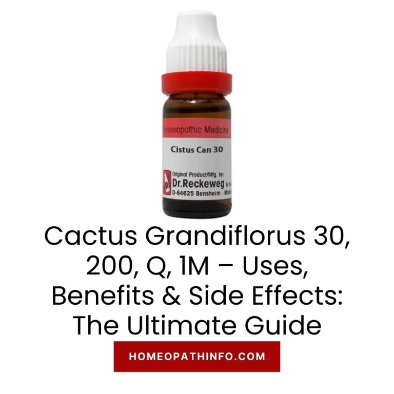 Cactus Grandiflorus 30, 200, Q, 1M – Uses, Benefits & Side Effects The Ultimate Guide