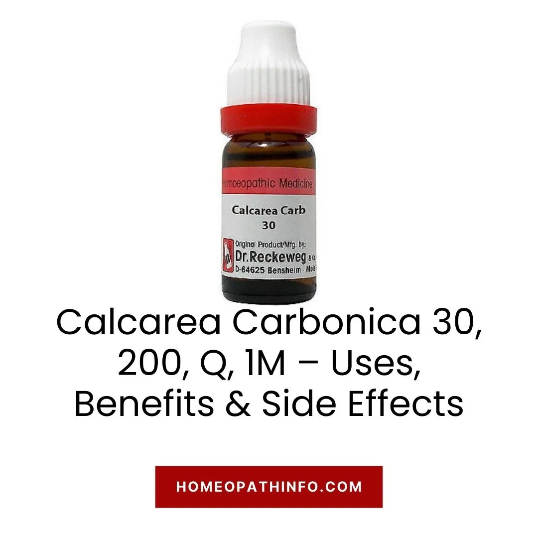 Calcarea Carbonica 30, 200, Q, 1M – Uses, Benefits & Side Effects 1 Calcarea Carbonica 30, 200, Q, 1M – Uses, Benefits & Side Effects