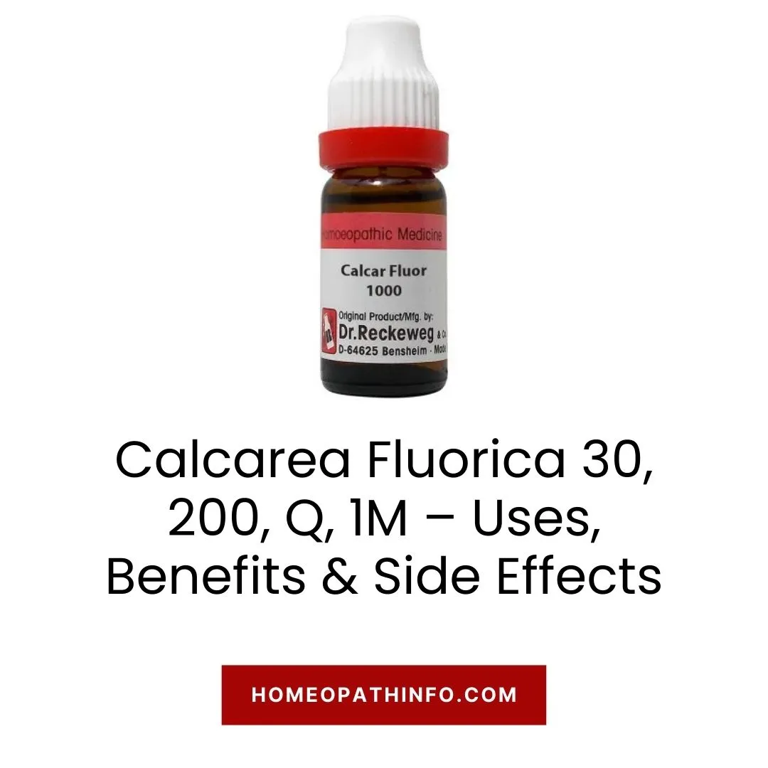 Calcarea Fluorica 30, 200, Q, 1M – Uses, Benefits & Side Effects 1 Calcarea Fluorica 30, 200, Q, 1M – Uses, Benefits & Side Effects