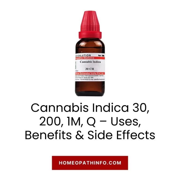 Cannabis Indica 30, 200, 1M, Q – Uses, Benefits & Side Effects The Ultimate Guide