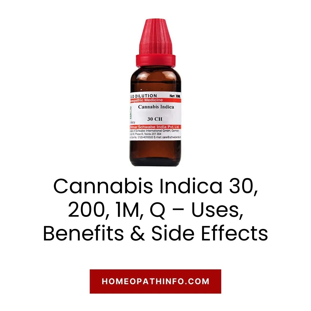 Cannabis Indica 30, 200, 1M, Q – Uses, Benefits & Side Effects: The Ultimate Guide 1 Cannabis Indica 30, 200, 1M, Q – Uses, Benefits & Side Effects The Ultimate Guide