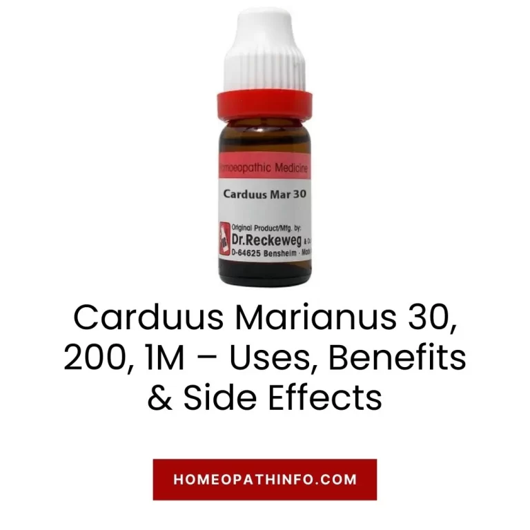 Carduus Marianus 30, 200, 1M – Uses, Benefits & Side Effects Your Ultimate Guide to Natural Healing