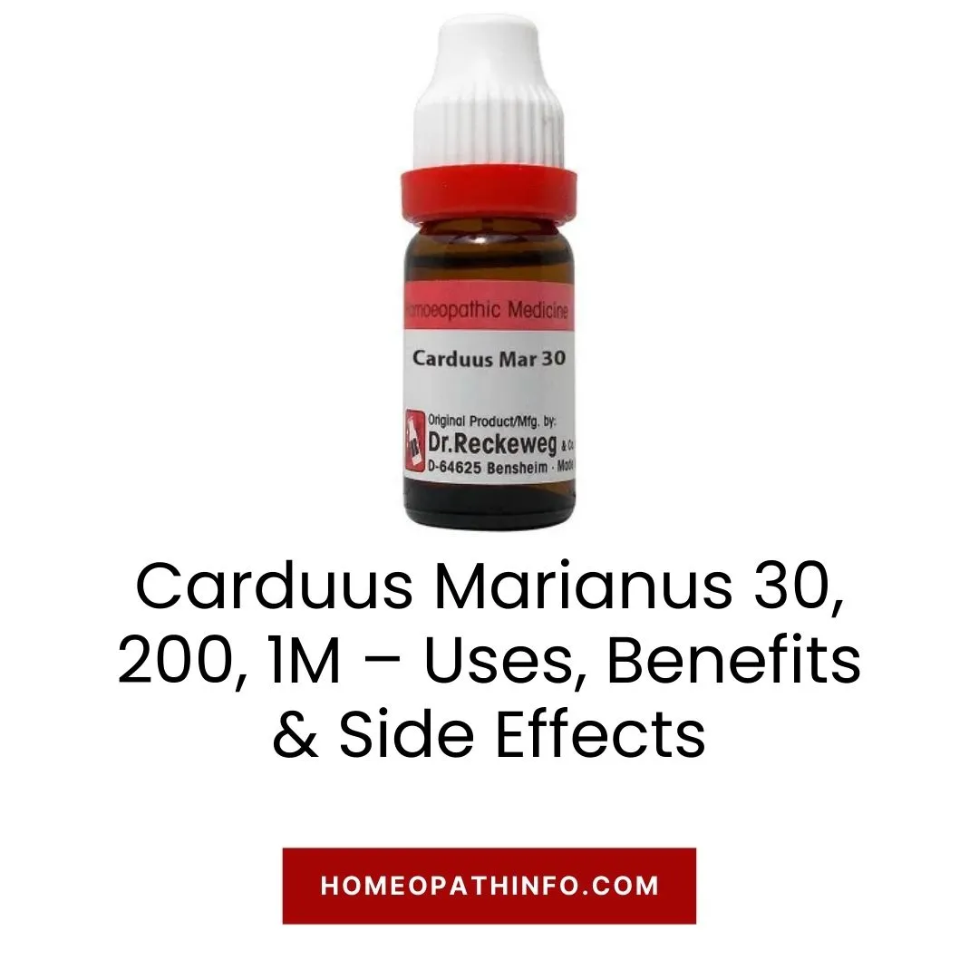 Carduus Marianus 30, 200, 1M – Uses, Benefits & Side Effects: Your Ultimate Guide to Natural Healing 1 Carduus Marianus 30, 200, 1M – Uses, Benefits & Side Effects Your Ultimate Guide to Natural Healing
