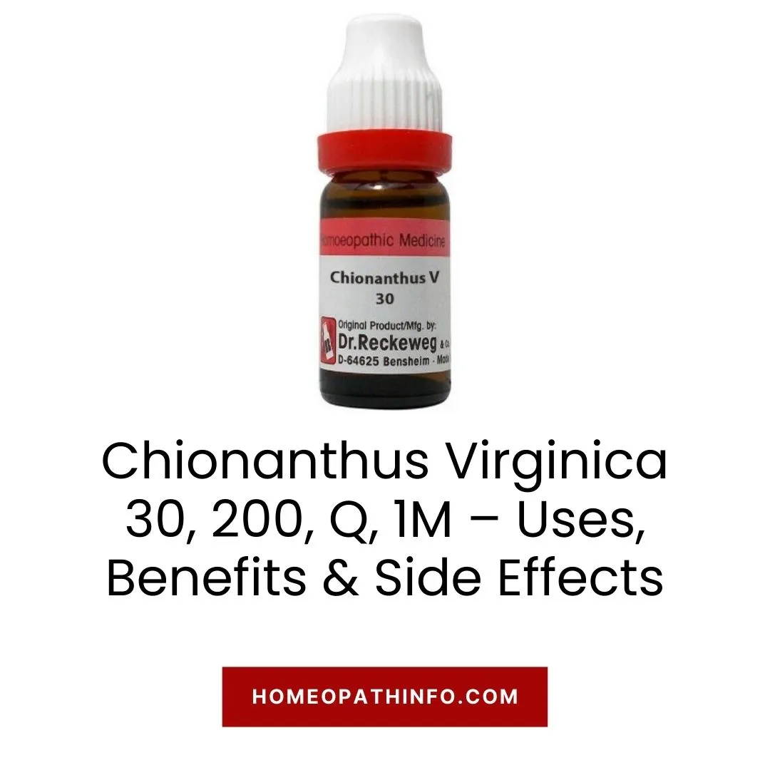 Chionanthus Virginica 30, 200, Q, 1M – Uses, Benefits & Side Effects 1 Chionanthus Virginica 30, 200, Q, 1M – Uses, Benefits & Side Effects