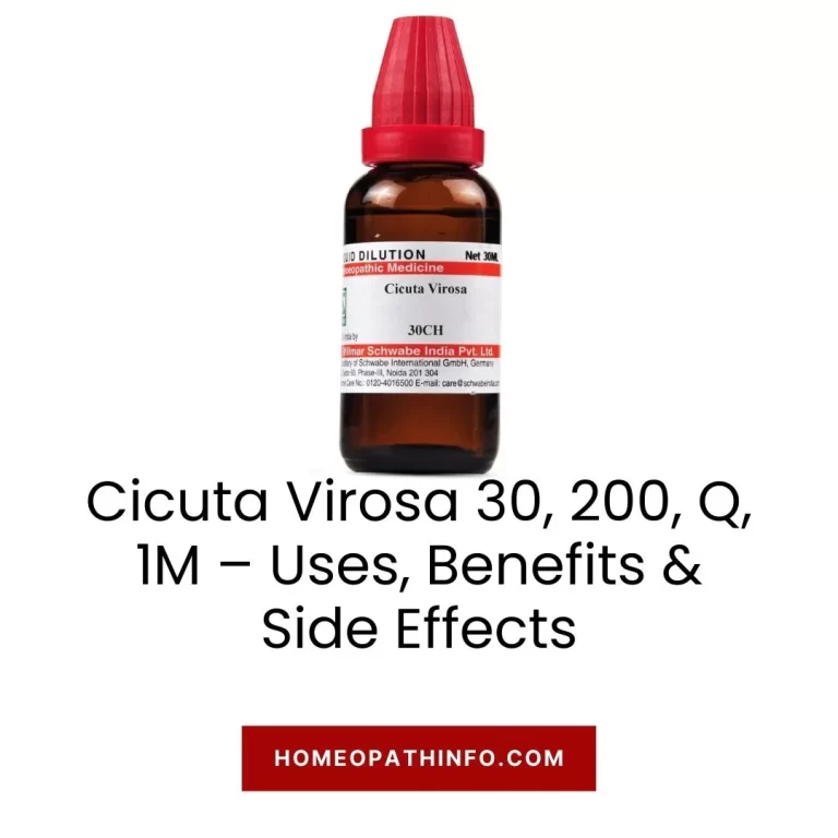 Cicuta Virosa 30, 200, Q, 1M – Uses, Benefits & Side Effects 8 Cicuta Virosa 30, 200, Q, 1M – Uses, Benefits & Side Effects