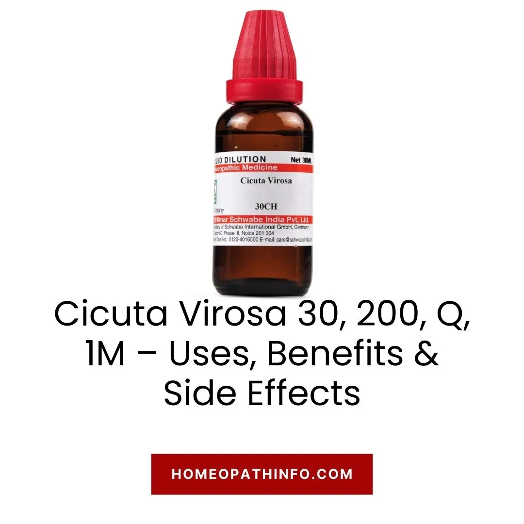 Cicuta Virosa 30, 200, Q, 1M – Uses, Benefits & Side Effects 1 Cicuta Virosa 30, 200, Q, 1M – Uses, Benefits & Side Effects