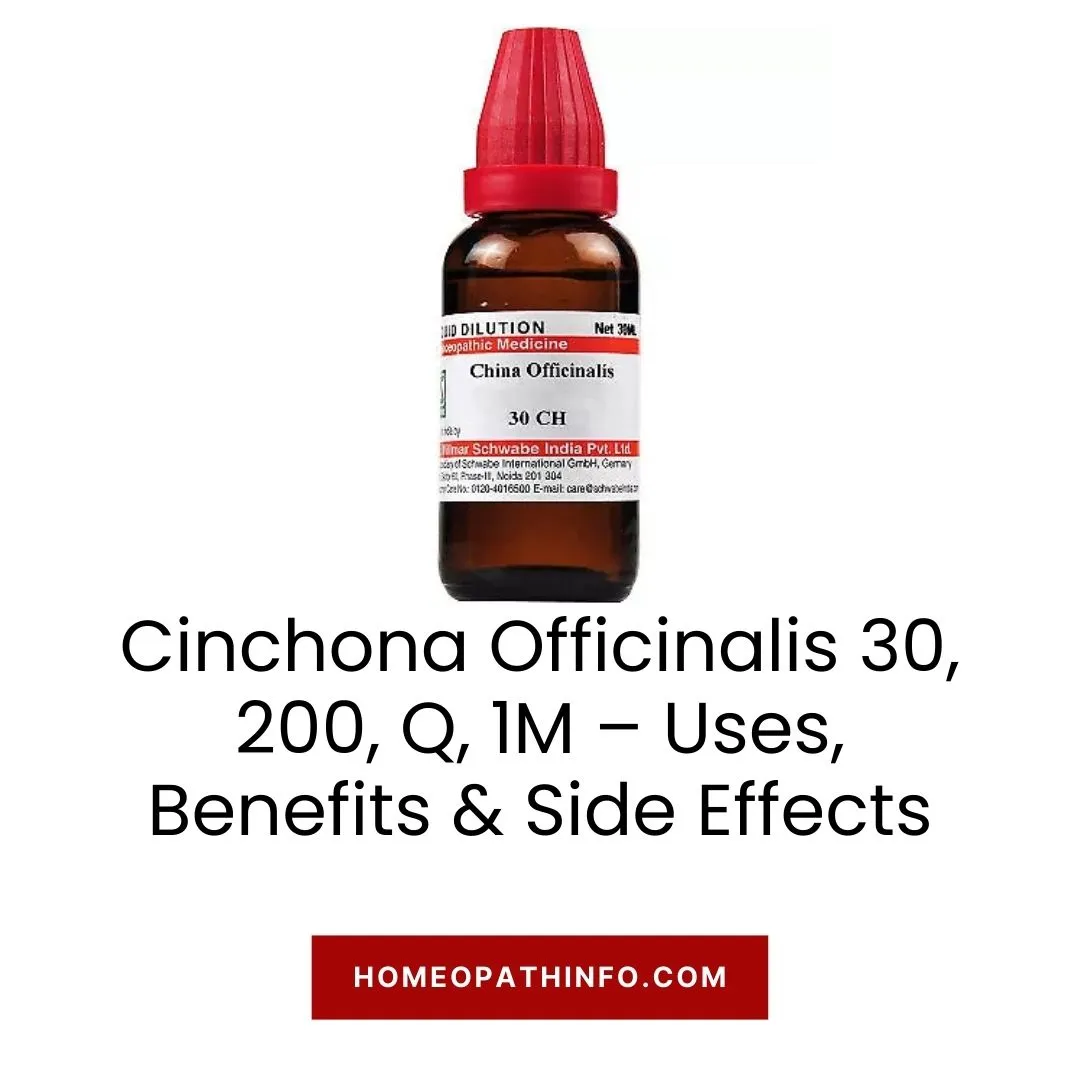 Cinchona Officinalis 30, 200, Q, 1M – Uses, Benefits & Side Effects 1 Cinchona Officinalis 30, 200, Q, 1M – Uses, Benefits & Side Effects