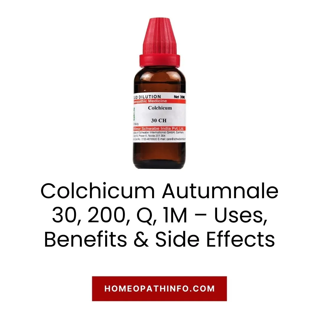 Colchicum Autumnale 30, 200, Q, 1M – Uses, Benefits & Side Effects 1 Colchicum Autumnale 30, 200, Q, 1M – Uses, Benefits & Side Effects