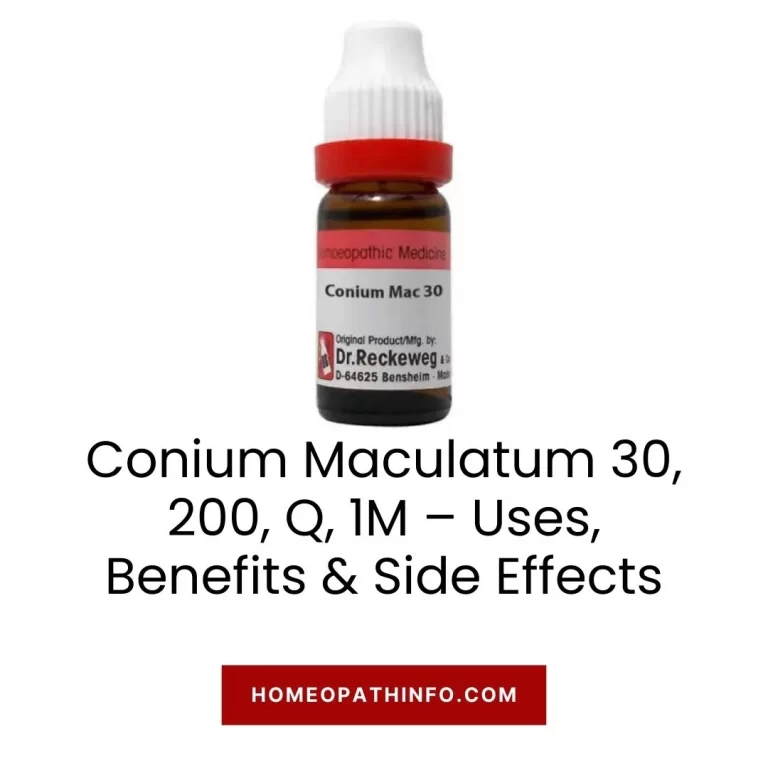 Conium Maculatum 30, 200, Q, 1M – Uses, Benefits & Side Effects 1 Conium Maculatum 30, 200, Q, 1M – Uses, Benefits & Side Effects