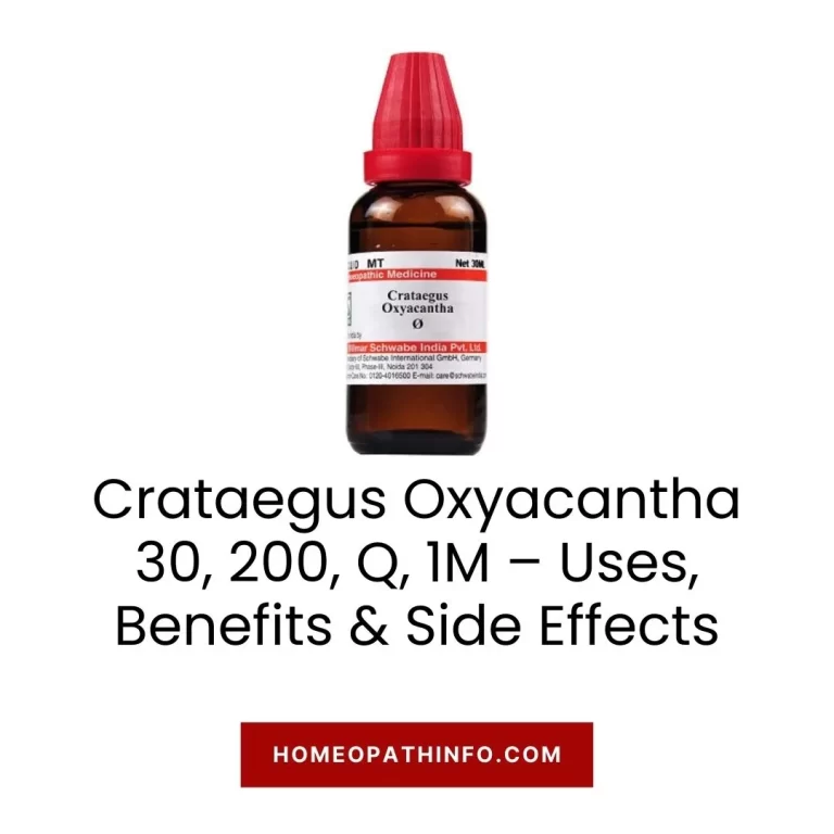 Crataegus Oxyacantha 30, 200, Q, 1M – Uses, Benefits & Side Effects