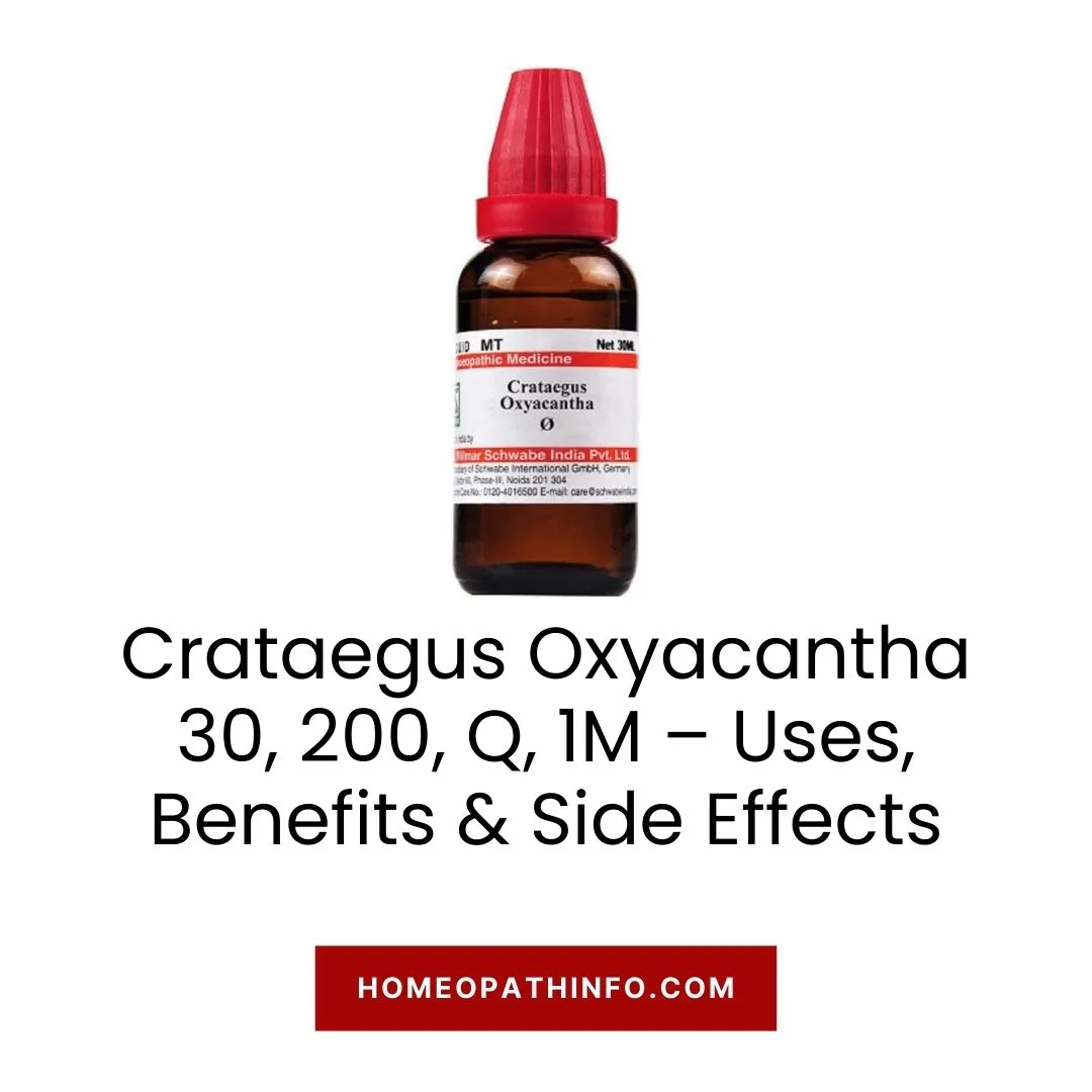 Crataegus Oxyacantha 30, 200, Q, 1M – Uses, Benefits & Side Effects 1 Crataegus Oxyacantha 30, 200, Q, 1M – Uses, Benefits & Side Effects