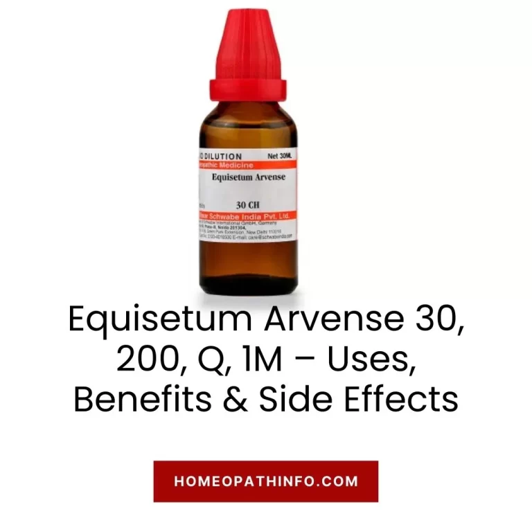 Equisetum Arvense 30, 200, Q, 1M – Uses, Benefits & Side Effects