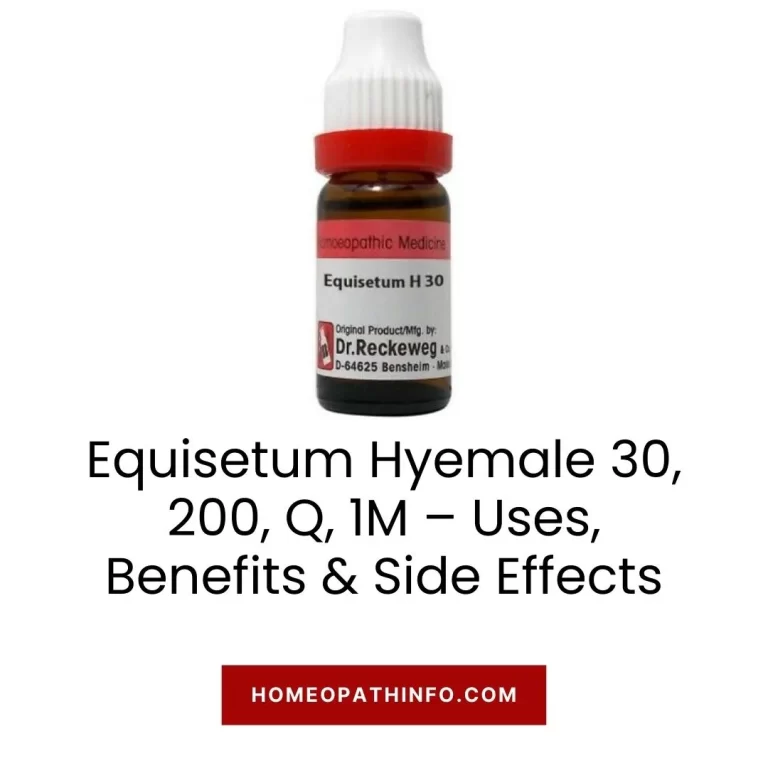 Equisetum Hyemale 30, 200, Q, 1M – Uses, Benefits & Side Effects 7 Equisetum Hyemale 30, 200, Q, 1M – Uses, Benefits & Side Effects