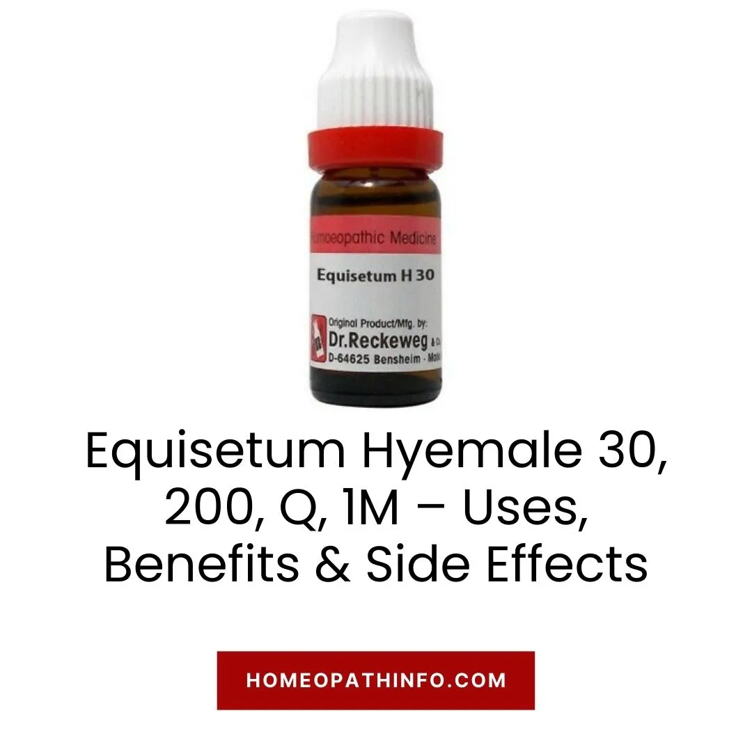 Equisetum Hyemale 30, 200, Q, 1M – Uses, Benefits & Side Effects 1 Equisetum Hyemale 30, 200, Q, 1M – Uses, Benefits & Side Effects