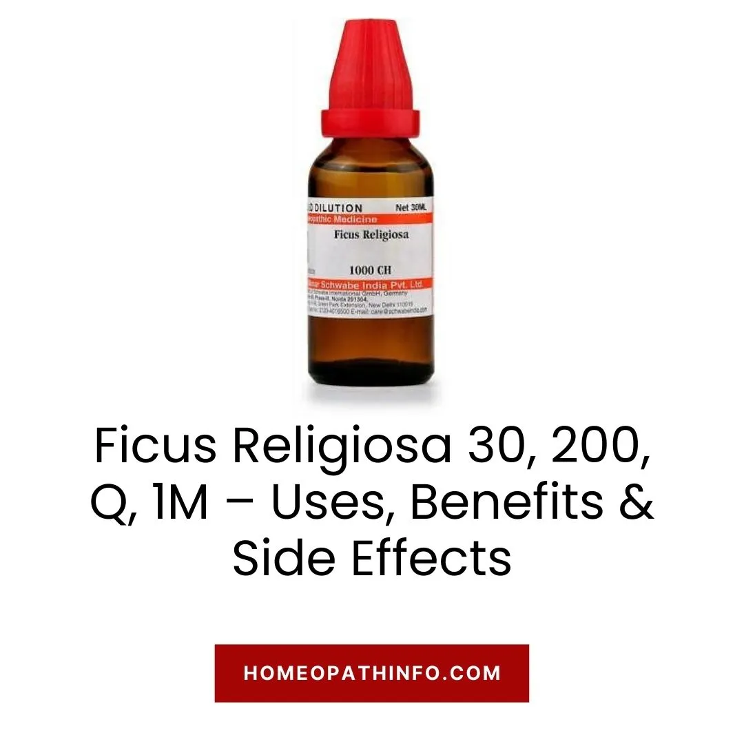 Ficus Religiosa 30, 200, Q, 1M – Uses, Benefits & Side Effects 8 Ficus Religiosa 30, 200, Q, 1M – Uses, Benefits & Side Effects