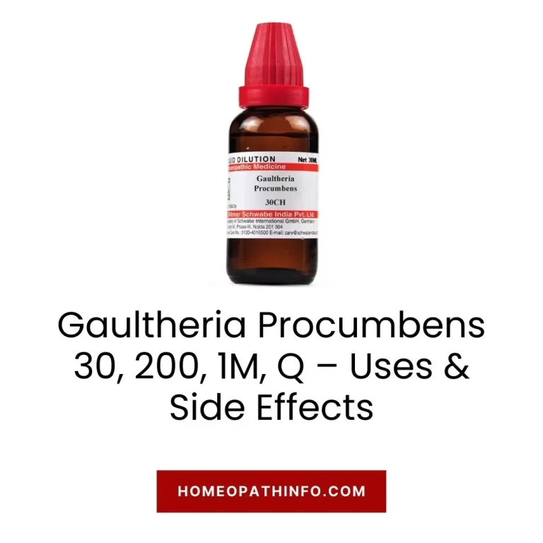 Gaultheria Procumbens 30, 200, 1M, Q – Uses & Side Effects: The Ultimate Guide to Nature's Pain Reliever 10 Gaultheria Procumbens 30, 200, 1M, Q – Uses & Side Effects The Ultimate Guide to Nature’s Pain Reliever