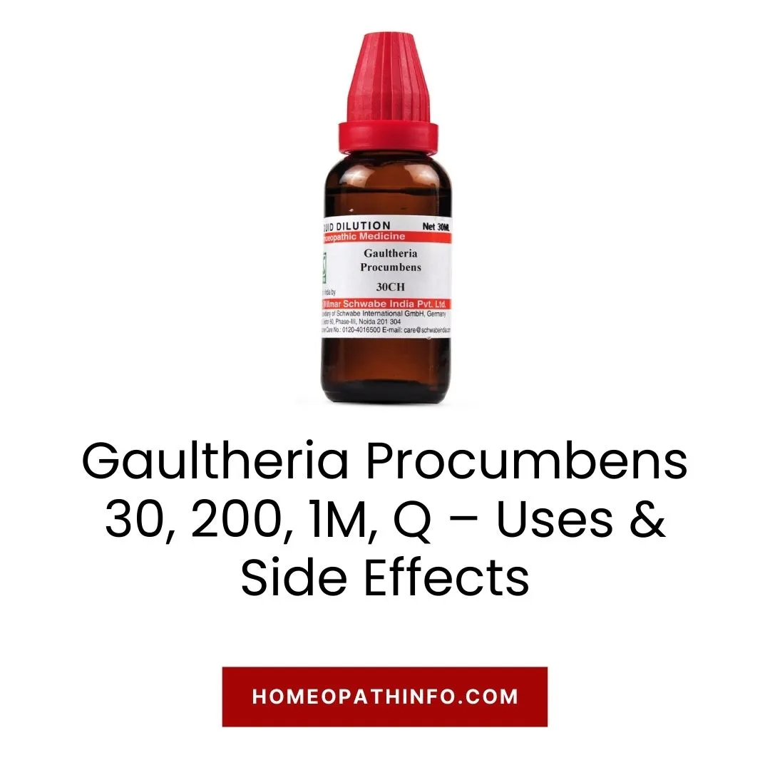 Gaultheria Procumbens 30, 200, 1M, Q – Uses & Side Effects: The Ultimate Guide to Nature's Pain Reliever 5 Gaultheria Procumbens 30, 200, 1M, Q – Uses & Side Effects The Ultimate Guide to Nature’s Pain Reliever