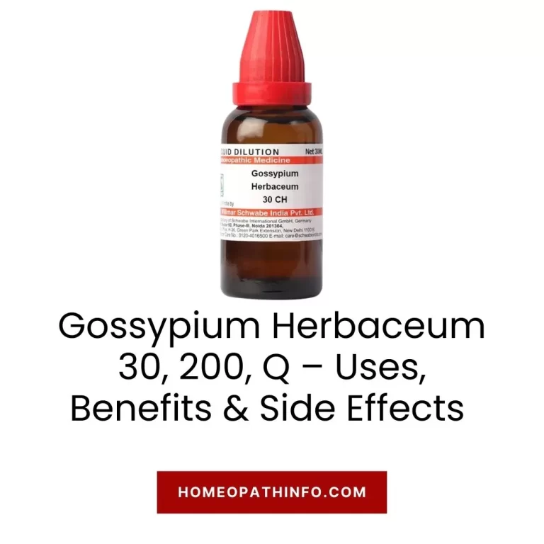 Gossypium Herbaceum 30, 200, Q – Uses, Benefits & Side Effects: The Ultimate Guide to Nature's Cotton Remedy 20 Gossypium Herbaceum 30, 200, Q – Uses, Benefits & Side Effects The Ultimate Guide to Nature’s Cotton Remedy