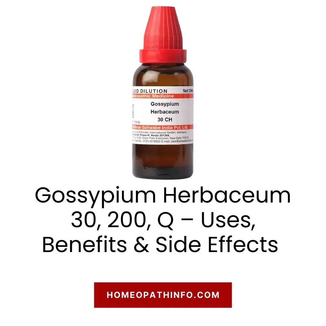 Gossypium Herbaceum 30, 200, Q – Uses, Benefits & Side Effects: The Ultimate Guide to Nature's Cotton Remedy 1 Gossypium Herbaceum 30, 200, Q – Uses, Benefits & Side Effects The Ultimate Guide to Nature’s Cotton Remedy