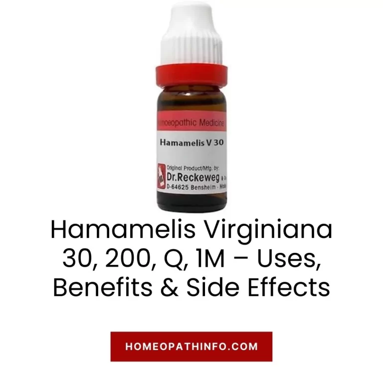 Hamamelis Virginiana 30, 200, Q, 1M – Uses, Benefits & Side Effects
