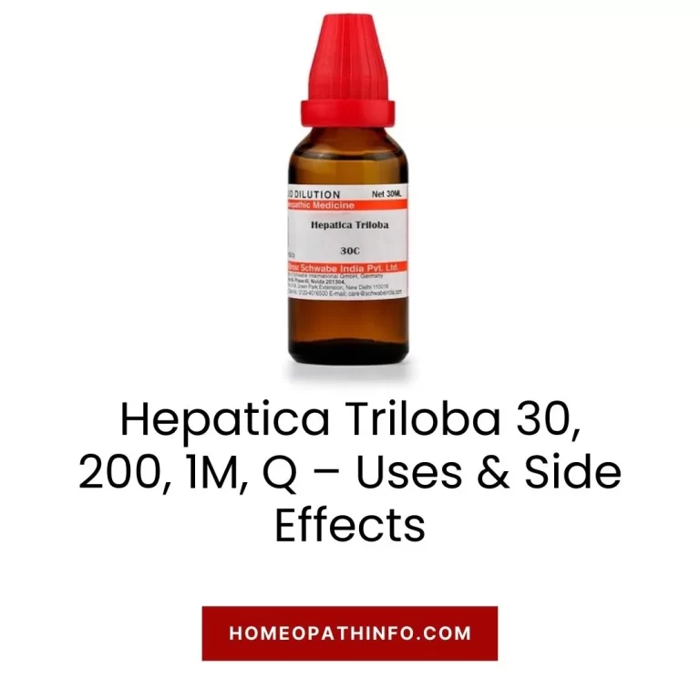 Hepatica Triloba 30, 200, 1M, Q – Uses & Side Effects Unveiling Nature’s Healing Secret