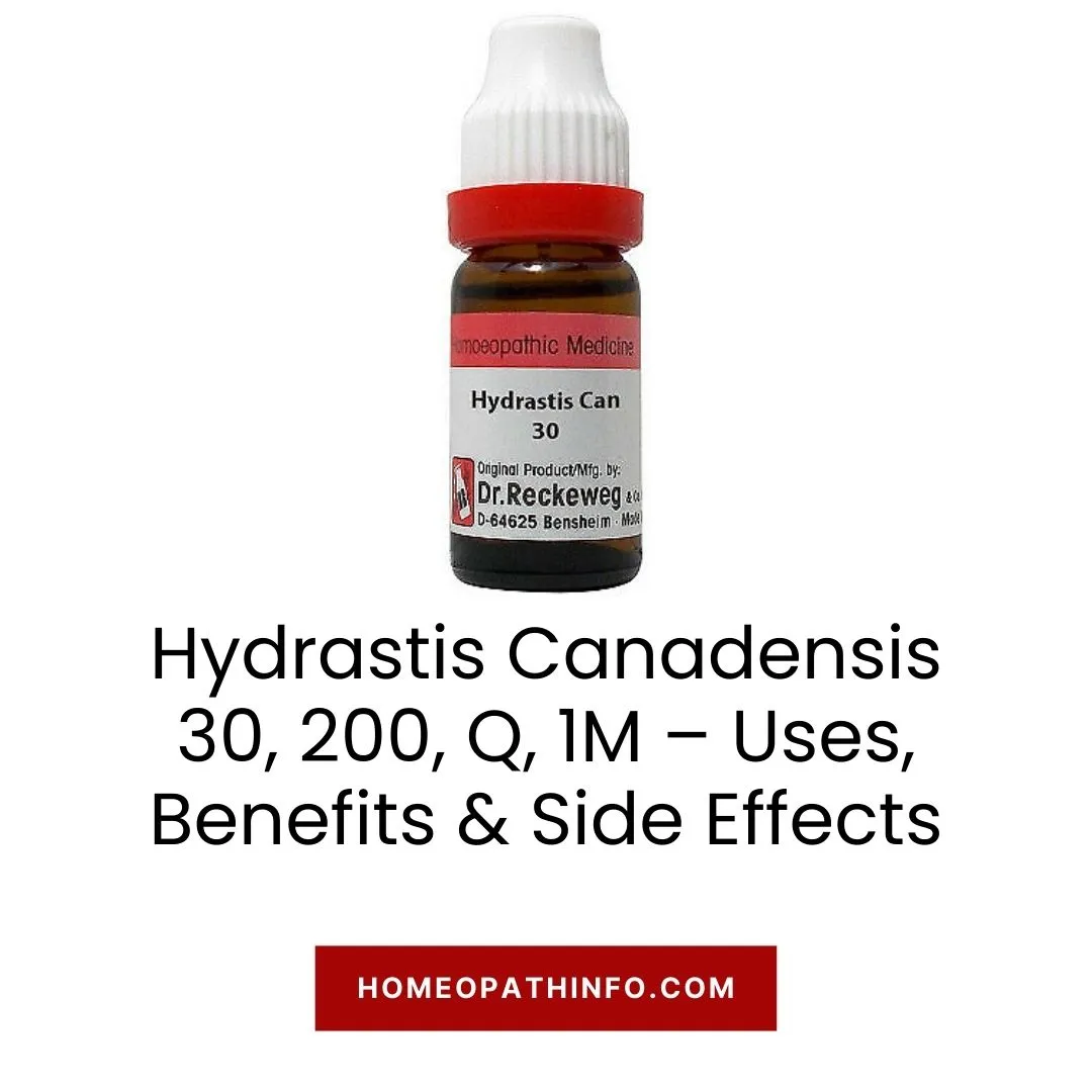 Hydrastis Canadensis 30, 200, Q, 1M – Uses, Benefits & Side Effects 8 Hydrastis Canadensis 30, 200, Q, 1M – Uses, Benefits & Side Effects