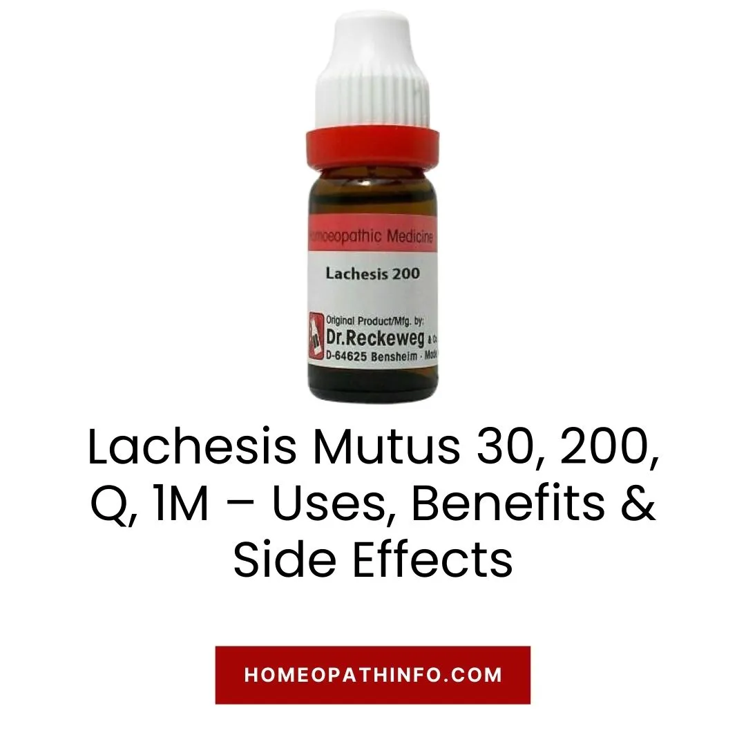 Lachesis Mutus 30, 200, Q, 1M – Uses, Benefits & Side Effects 5 Lachesis Mutus 30, 200, Q, 1M – Uses, Benefits & Side Effects