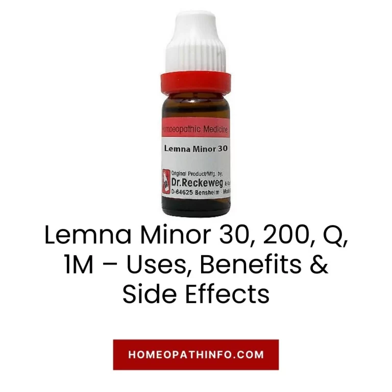 Lemna Minor 30, 200, Q, 1M – Uses, Benefits & Side Effects 8 Lemna Minor 30, 200, Q, 1M – Uses, Benefits & Side Effects