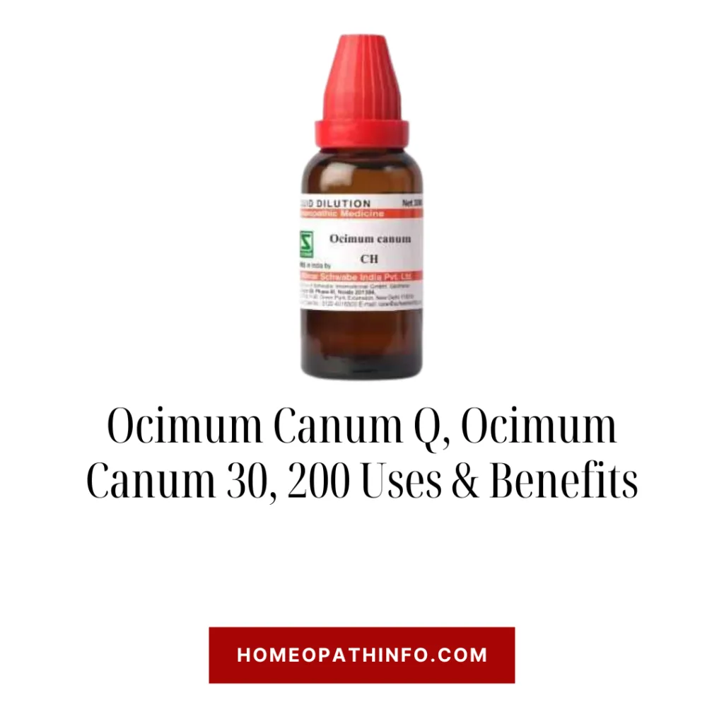 Ocimum Canum Q, Ocimum Canum 30, 200 Uses & Benefits 5 Ocimum Canum Q, Ocimum Canum 30, 200 Uses & Benefits - Homeopathinfo
