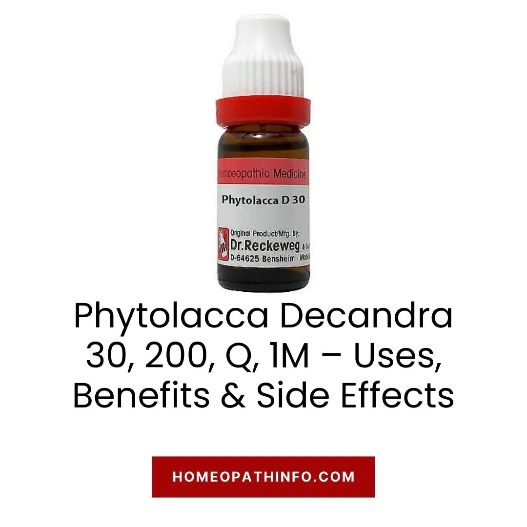 Phytolacca Decandra 30, 200, Q, 1M – Uses, Benefits & Side Effects 1 Phytolacca Decandra 30, 200, Q, 1M – Uses, Benefits & Side Effects