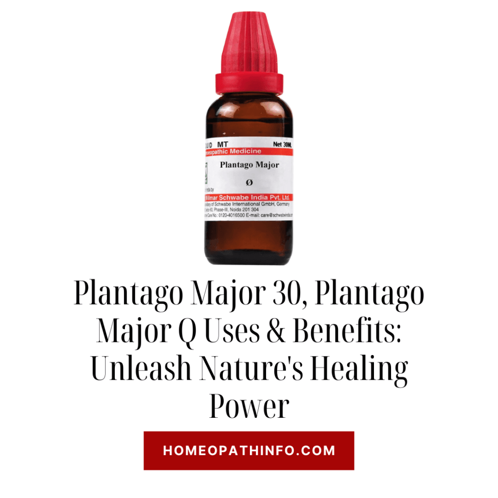 Plantago Major 30, Plantago Major Q Uses & Benefits: Unleash Nature's Healing Power 5 Plantago Major 30, Plantago Major Q Uses & Benefits: Unleash Nature's Healing Power - Homeopathinfo