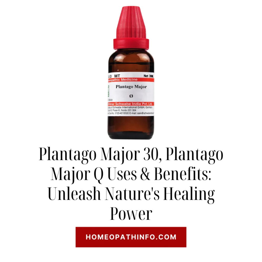 Plantago Major 30, Plantago Major Q Uses & Benefits: Unleash Nature's Healing Power 5 Plantago Major 30, Plantago Major Q Uses & Benefits: Unleash Nature's Healing Power - Homeopathinfo