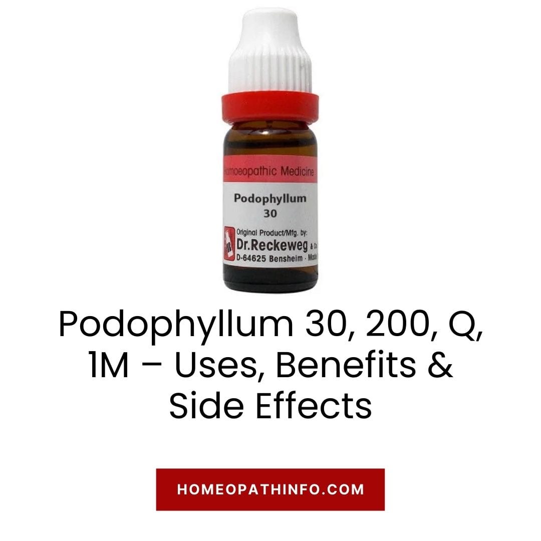 Podophyllum 30, 200, Q, 1M – Uses, Benefits & Side Effects 2 Podophyllum 30 200 Q 1M – Uses Benefits Side Effects