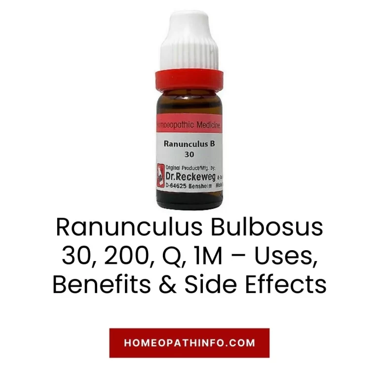 Ranunculus Bulbosus 30, 200, Q, 1M – Uses, Benefits & Side Effects 9 Ranunculus Bulbosus 30, 200, Q, 1M – Uses, Benefits & Side Effects