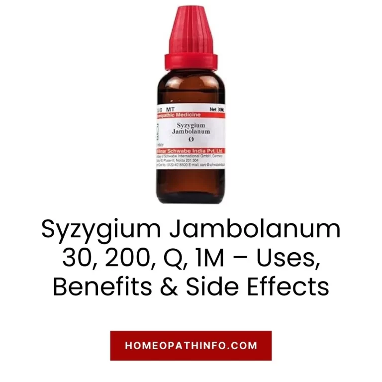 Syzygium Jambolanum 30, 200, Q, 1M – Uses, Benefits & Side Effects 9 Syzygium Jambolanum 30, 200, Q, 1M – Uses, Benefits & Side Effects