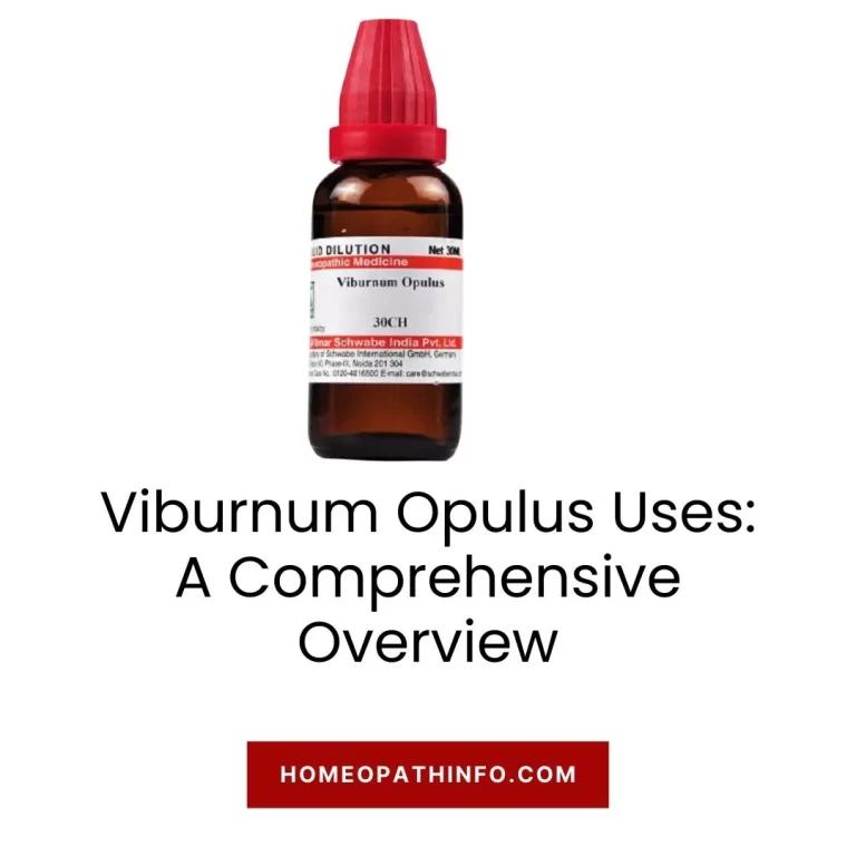 Viburnum Opulus Uses A Comprehensive Overview