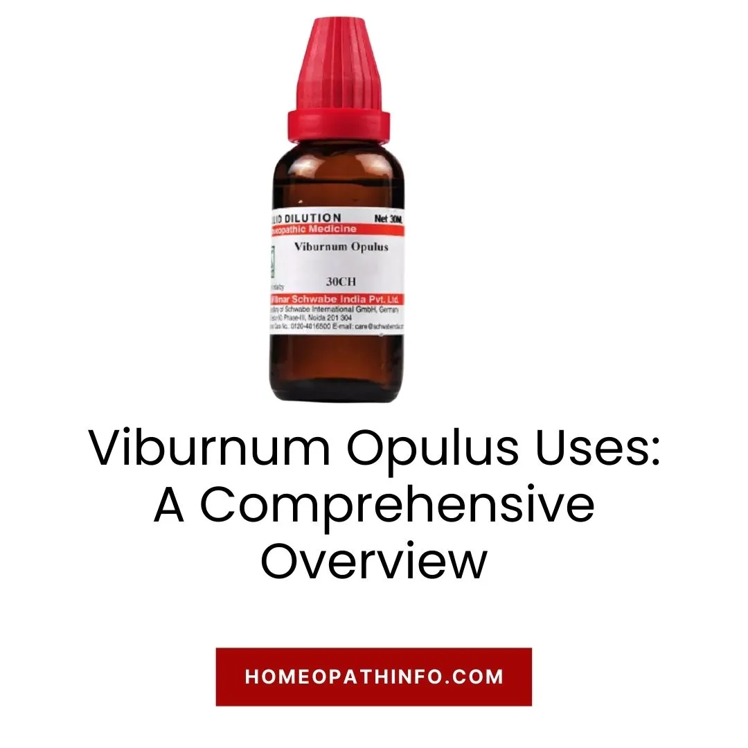 Viburnum Opulus Uses: A Comprehensive Overview 1 Viburnum Opulus Uses A Comprehensive Overview